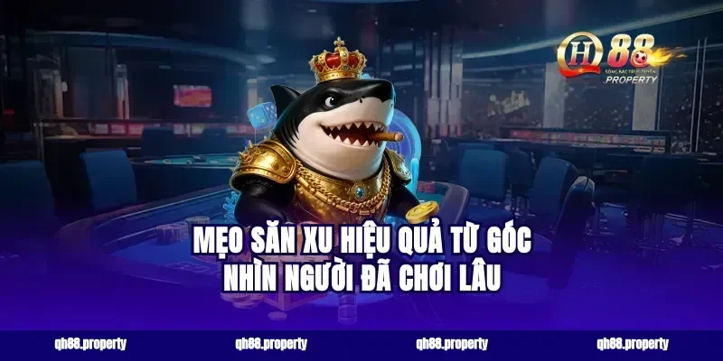 Mẹo săn xu hiệu quả từ góc nhìn người đã chơi lâu