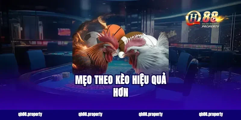 Mẹo theo kèo hiệu quả hơn