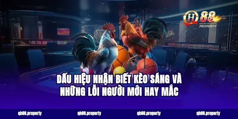 Dấu hiệu nhận biết kèo sáng và những lỗi người mới hay mắc