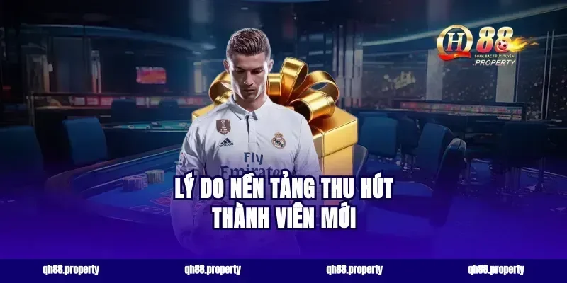 Lý Do Nền Tảng Thu Hút Thành Viên Mới