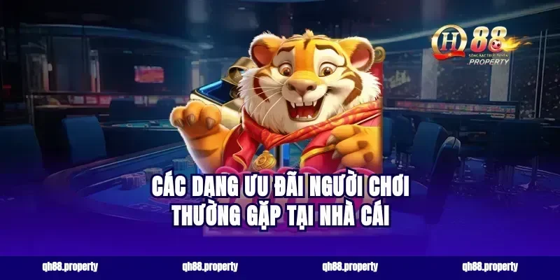 Các dạng ưu đãi người chơi thường gặp tại nhà cái