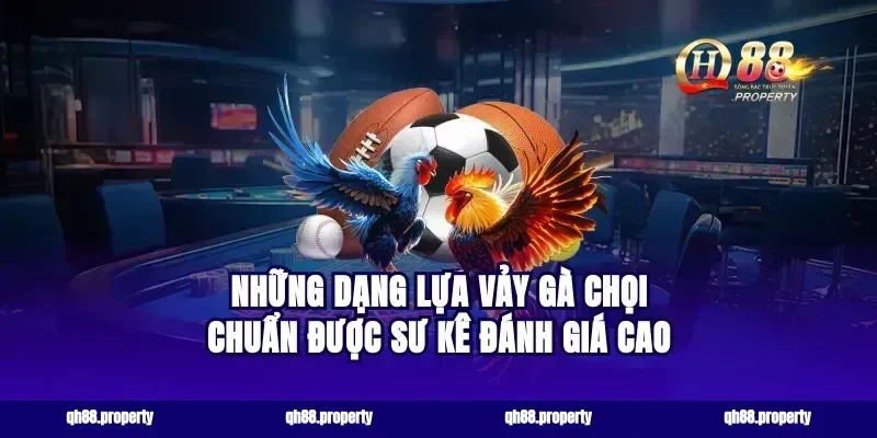 Những dạng lựa vảy gà chọi chuẩn được sư kê đánh giá cao